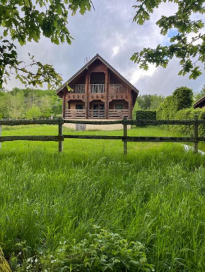 Au bord du lac III